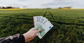 crop farmer showing money in green summer field in countryside